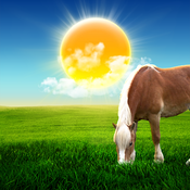 Beautiful Weather icon